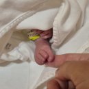 사라져가는 목소리들 | 후불제 자연분만? 생생한 출산 후기_1편