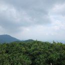 별리농장 이미지