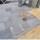 구암동583 이미지