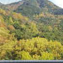 수목원풍경그린 이미지