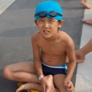 대하체육관 이미지