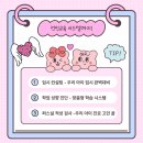 뉴스카이