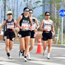 장흥군청 이미지