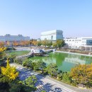 원광대학교 티스토리