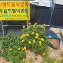 금당농장 이미지