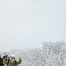 새부산카 이미지