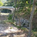 비학산자연휴양림 이미지