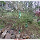 수형농장 이미지