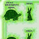 토끼와거북이