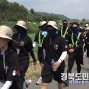 구미 백야전자 경북도민일보