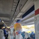라이온즈스포츠클럽 | 2025 삼성라이온즈 블루웨이브 라팍 다녀온 후기