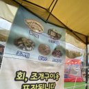 엉클스조개한판