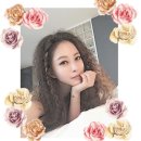 설리헤어