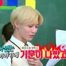 아우라컬러 이미지