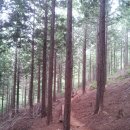 공지산 둘레길 이미지