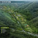 대봉산자연휴양림 이미지