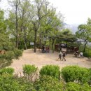 구룡산정상 조망대 이미지