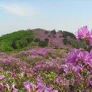 광양토요산악회 제2차 정기산행 이미지