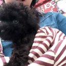 한샘동물병원 이미지