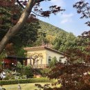 커넥트닷츠 이미지