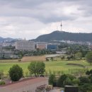 용산-60 문화일보