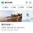 리슈채 이미지