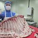 (주)원글로벌에프앤비