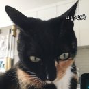 늦은 11월일상 (12월아니고 11월맞아요 크하하)