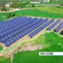지웅이네과수원 | 태양광 발전소 전기농사 소득도 보장해주는 수익사업으로
