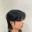 수원-1497 이미지