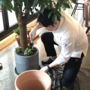허쉐프의키친