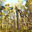 황청2리 마을회관 이미지