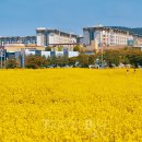 국제웨딩컨벤션(주) 이미지