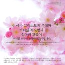 사도행전 7장 1-16절 스데반의 설교(Ⅰ):믿음의 조상 이미지