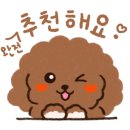 과일오빠&장봐주는 언니 이미지