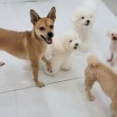 파라다이스유치원 이미지