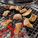 대구반야월막창 - 청양군 중앙로9길 10 | [원주 태장동 맛집]막창,오도독살 맛있는 대구반야월막창 솔직후기