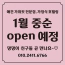 휴 애견미용 이미지