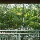 은평-009 이미지