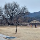 원주굽이길 원7코스 반계리은행나무길 이미지