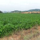 태광1농장 이미지