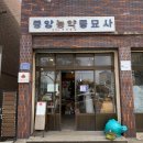 대신문구사