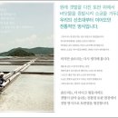 솔트리