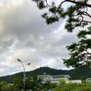 군강공원 | 전남 진도 | 뿌리 깊은 역사의 현장, 진도읍성 군강공원