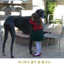 참 - 양주시 | 참