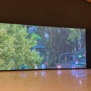 용산-현장-2004 | 리움미술관 티노 세갈(Tino Sehgal) 개인전｜전시 후기·내용·티켓예매