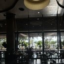 수동목장 | 나트랑 여행 레츠비투어 판랑사막 짧은 사막투어 양떼목장 단독투어 후기