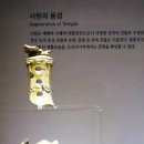 백제의집 이미지