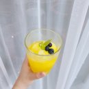 점핑홀릭