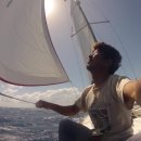 아라파니 이미지